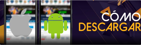 steps to download and install the wplay app